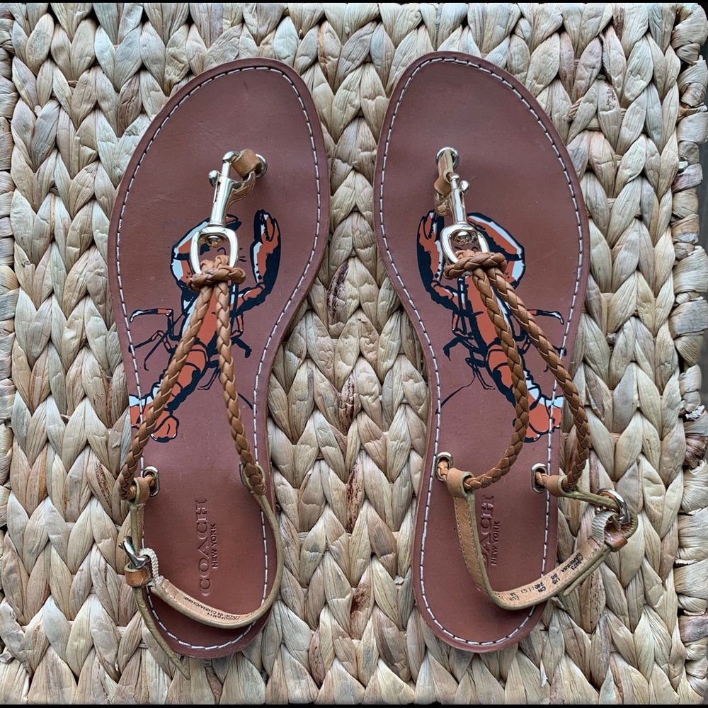 COACH Karessa Sandals Brown Braided Leather with Gold Clasp Size 8